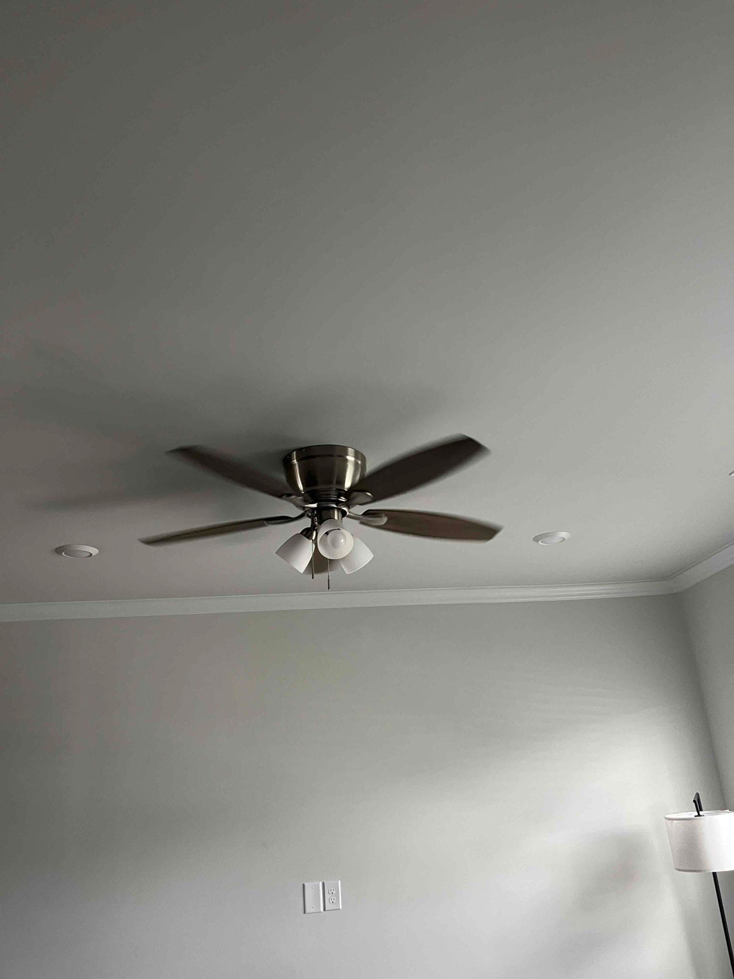 Professional Ceiling Fan & Light Installation in Raleigh, NC