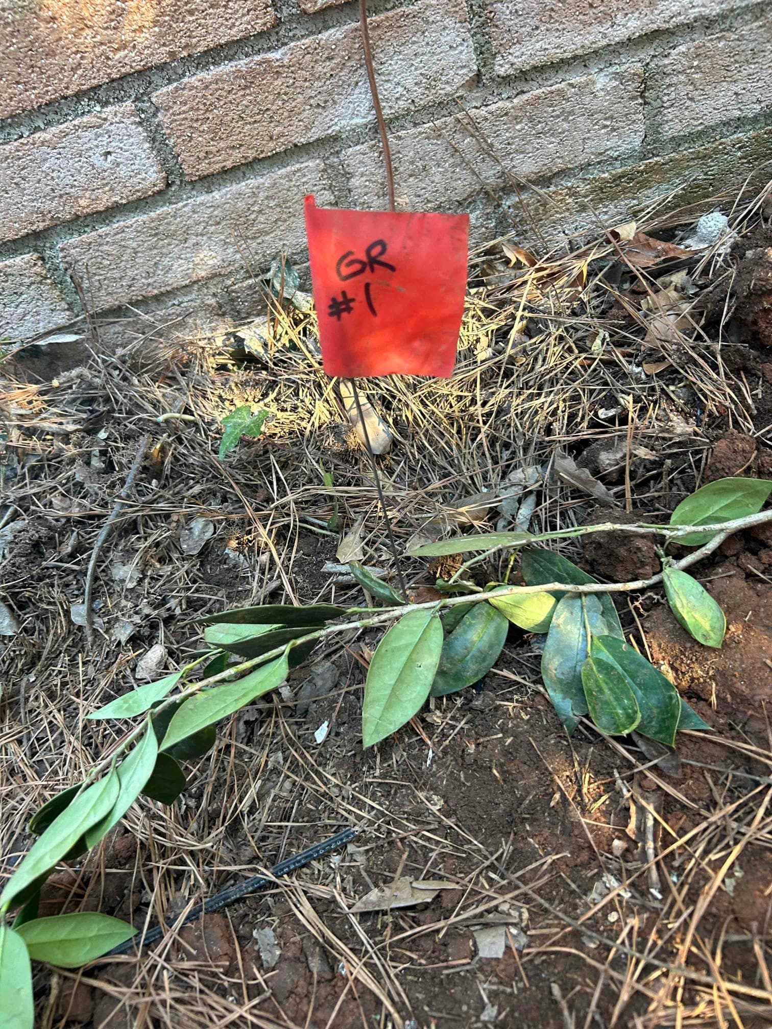 150A Meter & Panel Replacement in Greenville SC | Overhead Service