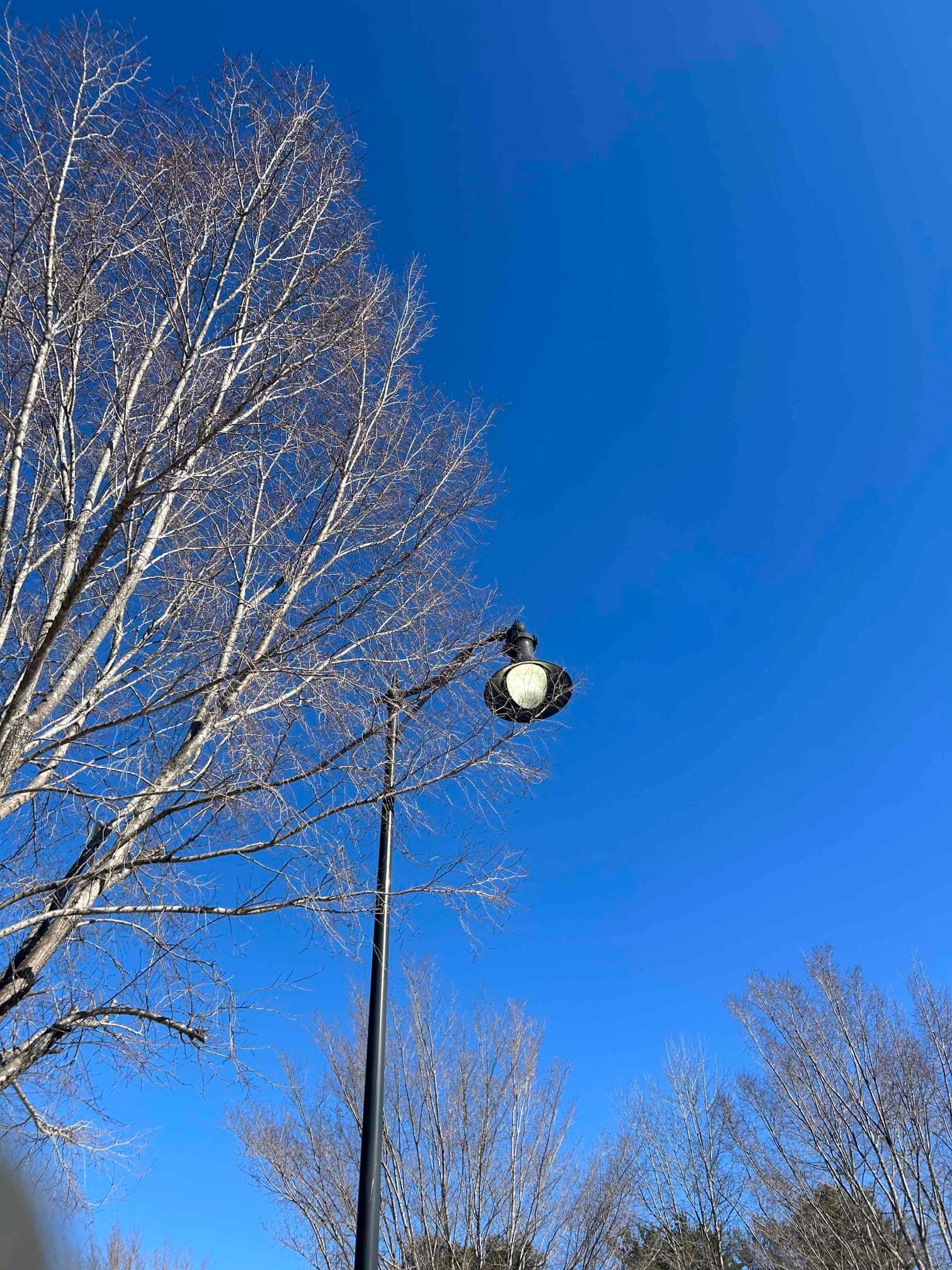 Pole Light Repair & LED Bulb Replacement in Asheville, NC