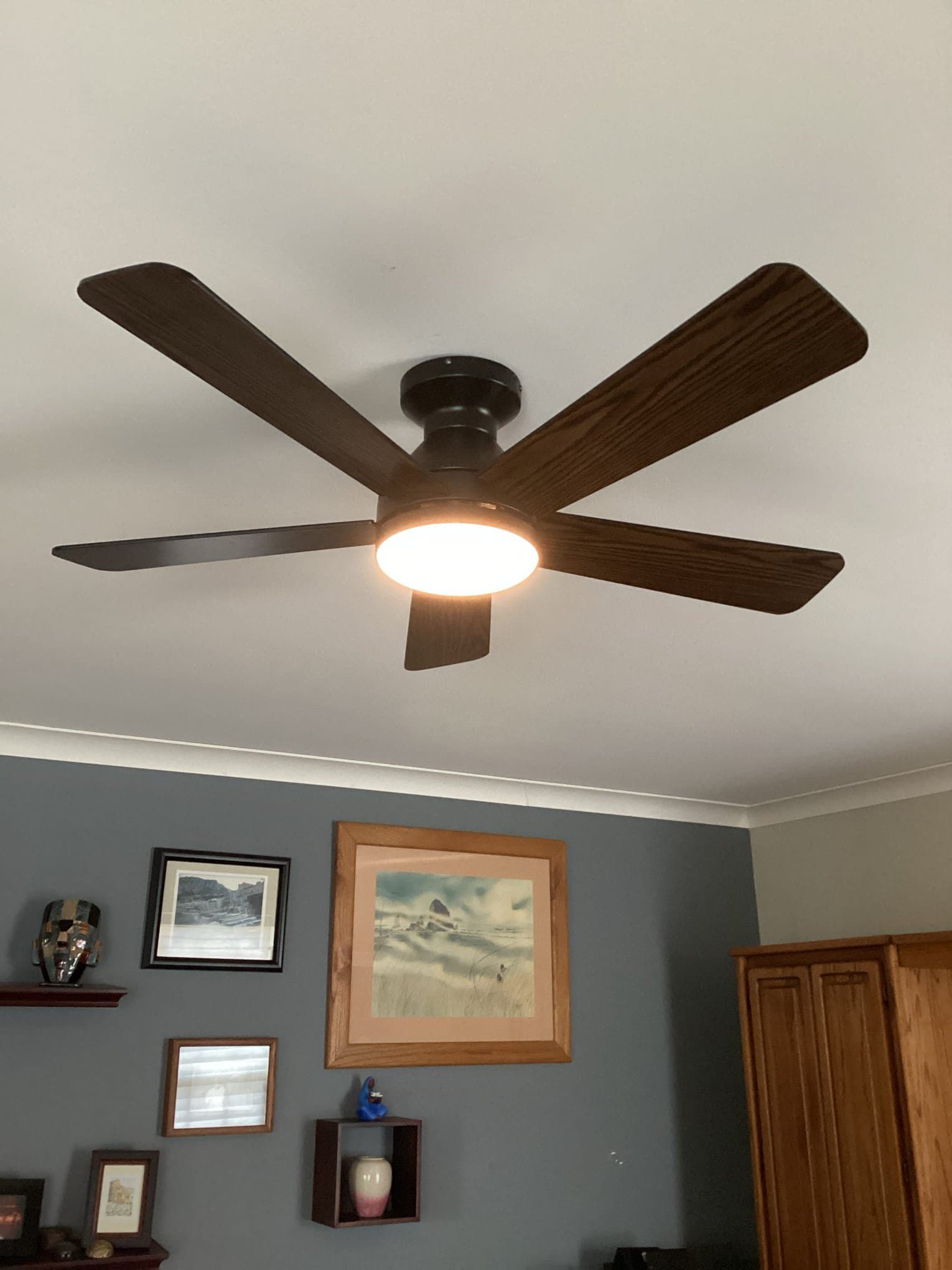 Expert Ceiling Fan & Lighting Installation in Willow Spring, NC