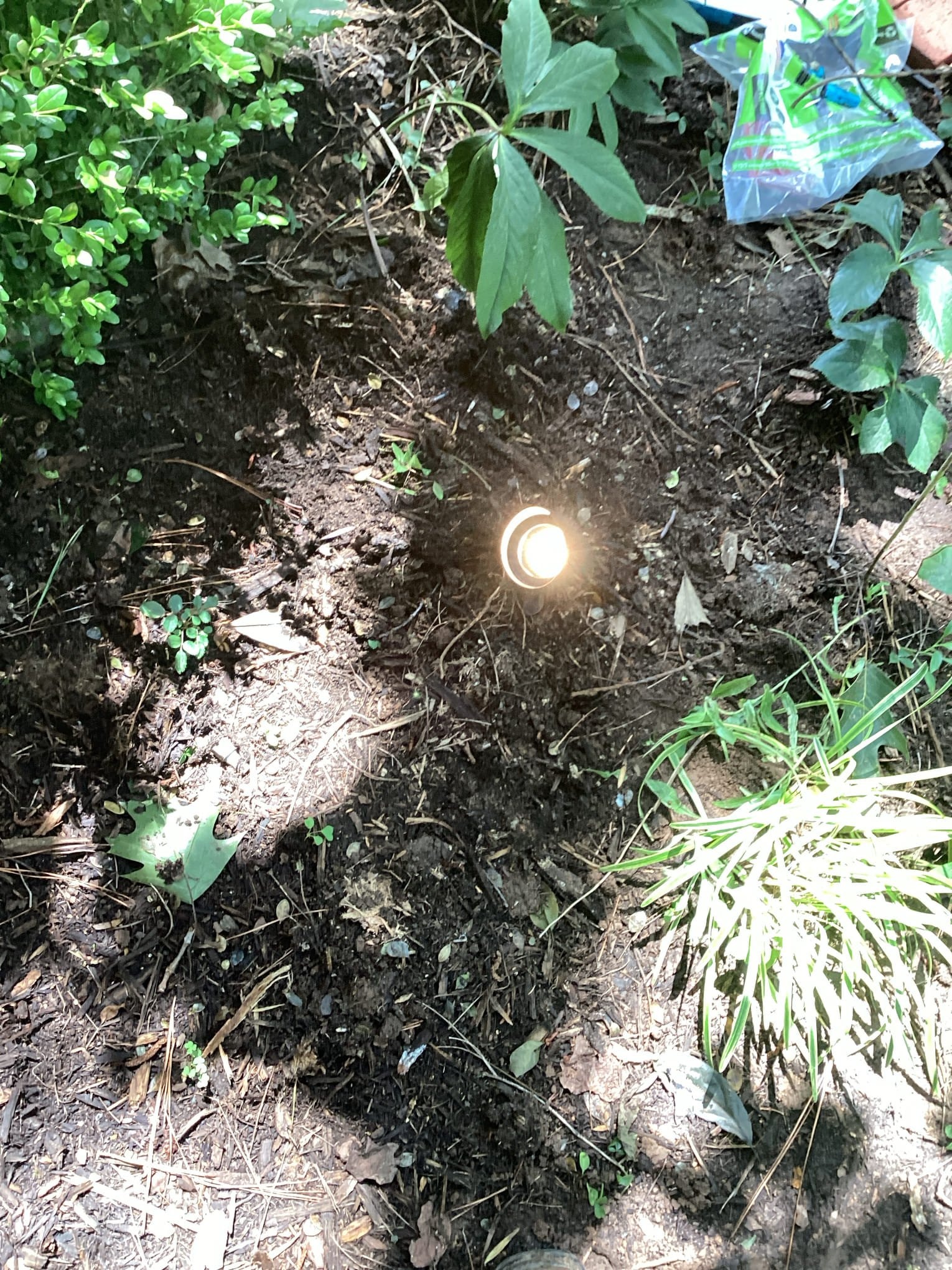 Low-Voltage Landscape Lighting Installation in Chapel Hill completed by Touchstone Electric