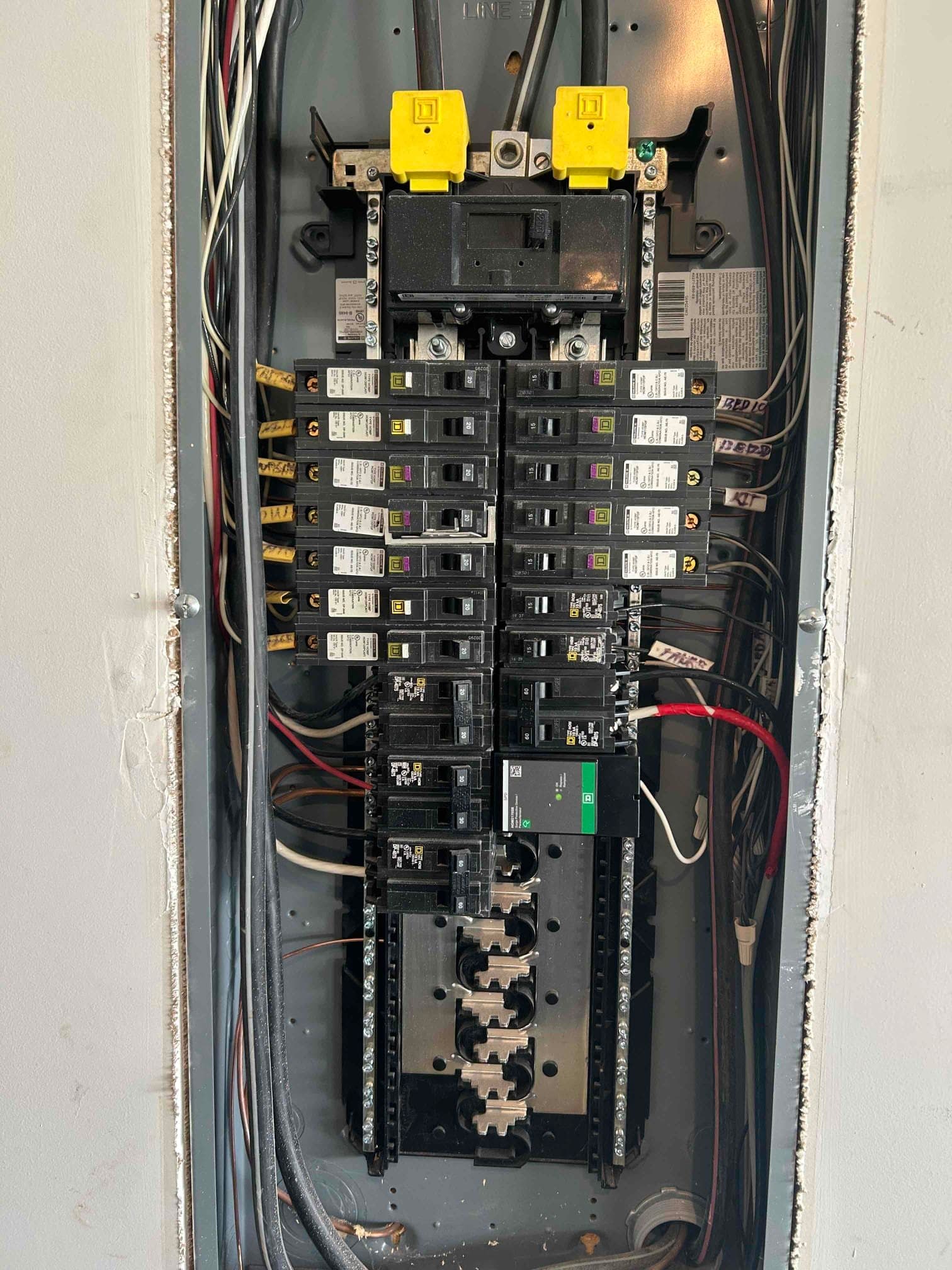 Premium Whole-Home Surge Protector Installation in Pelzer, SC