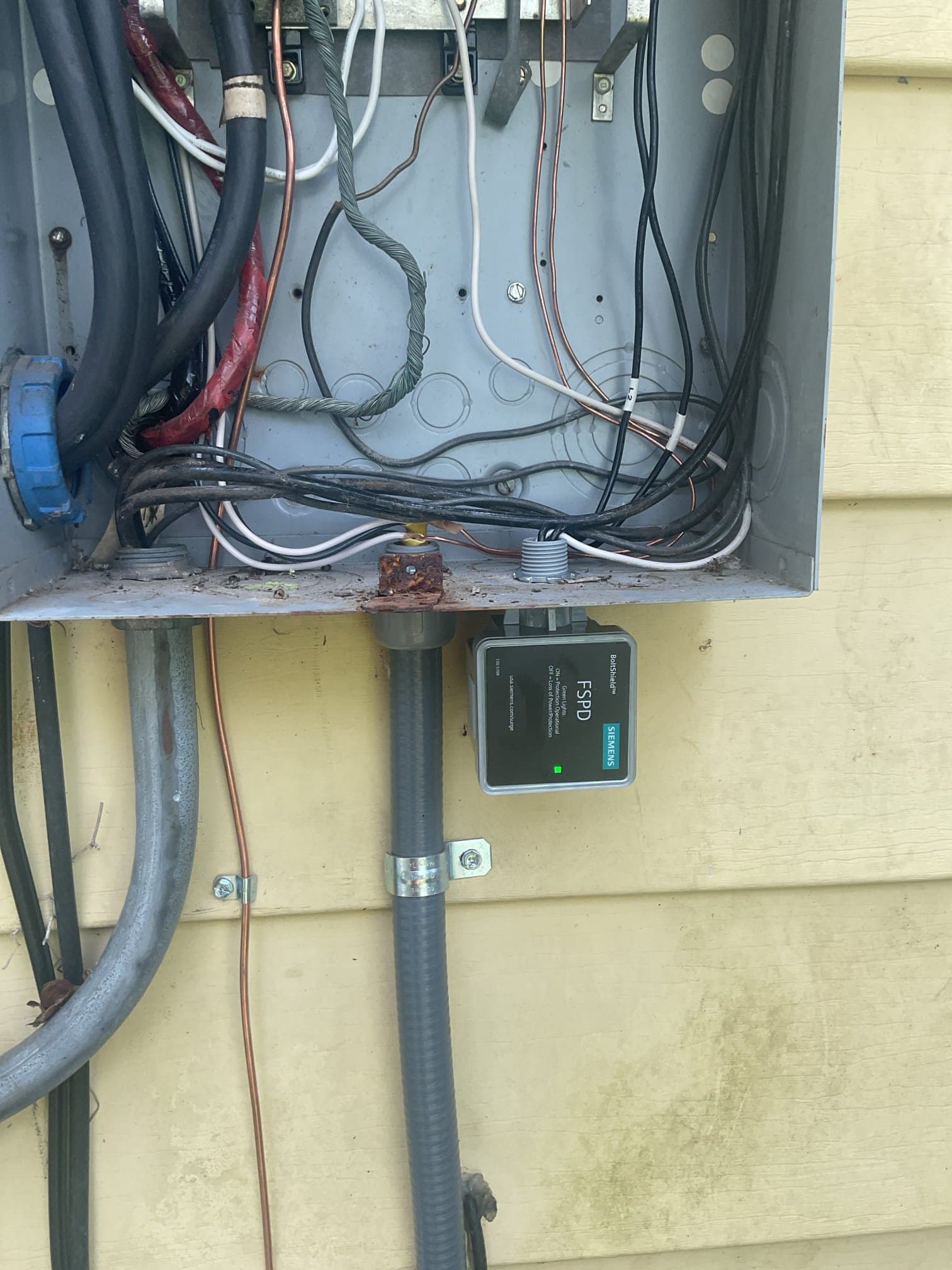 Whole-House Surge Protector & Grounding Upgrade | Jacksonville, NC