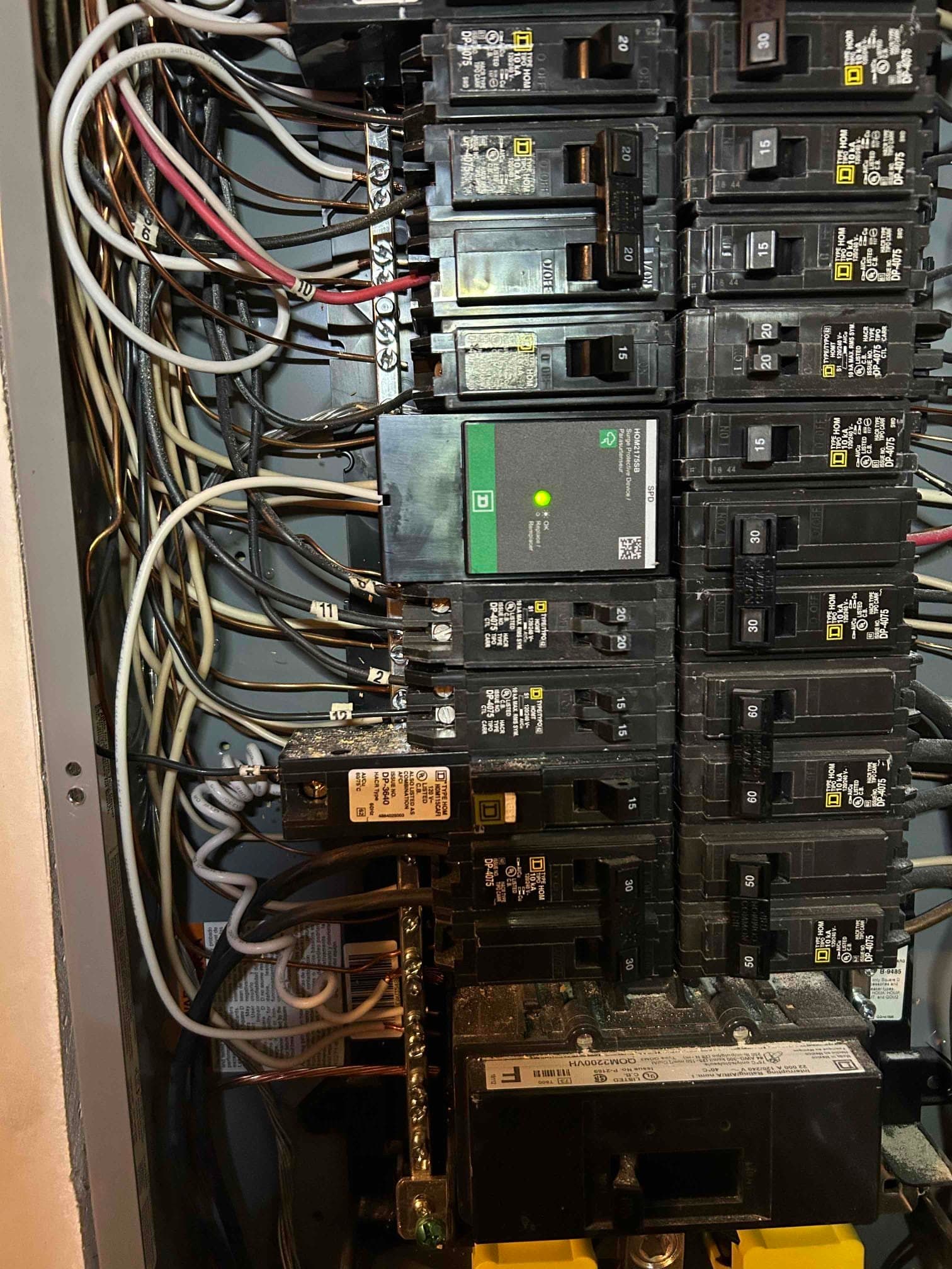 Professional Whole-House Surge Protection Installation in Cary, NC