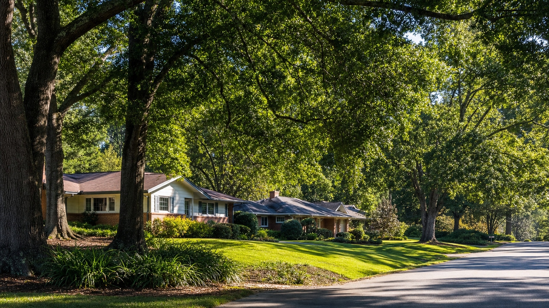 Forest Acres South Carolina residential area served by Touchstone Electric