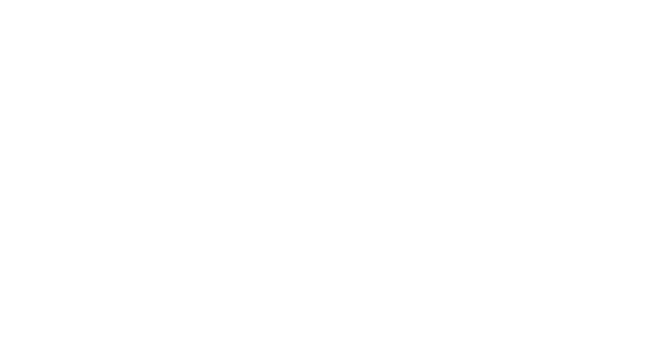 Advantage Inspection logo