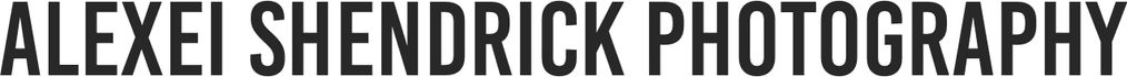 Alexei Shendrick Photography logo