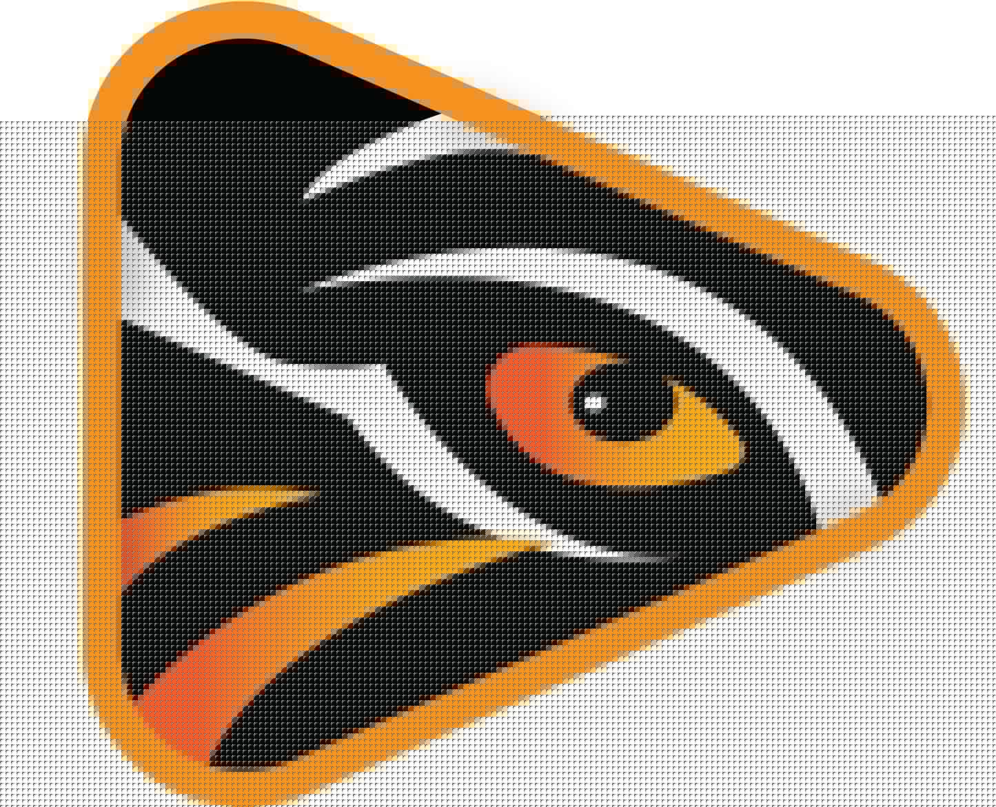 Tiger Eye Home Inspections logo